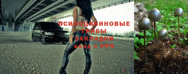 ПСИЛОЦИБИНОВЫЕ ГРИБЫ Алексин